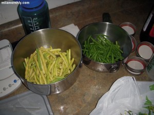 Sorting the beans